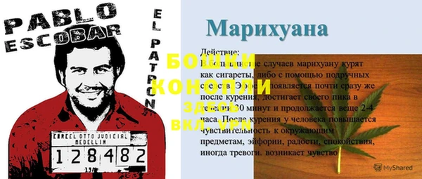 наркотики Белокуриха